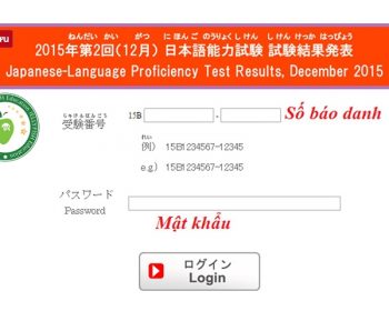 Hướng dẫn tra cứu điểm thi JLPT 12/2018 - Ảnh 4